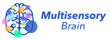 Multisensory Brain