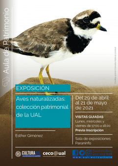 Exposición Aves naturalizadas: colección patrimonial de la UAL