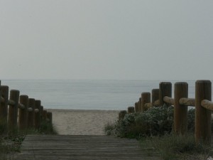 906934_3d80c54b57e243c1939fbe63b78ba91a