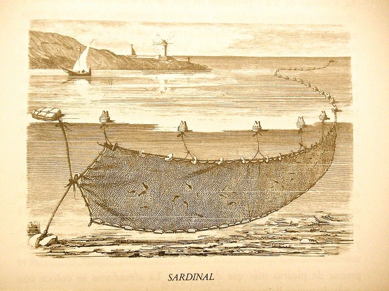 La pesca litoral – Identidad e Imagen de Andalucía en la Edad Moderna