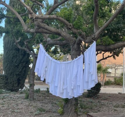 Salvador Moreno Sánchez: Un recorrido a través del TFG y la especialización profesional