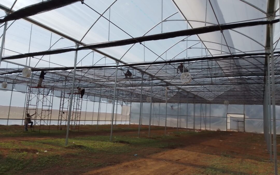 Agricultura - invernadero sostenible