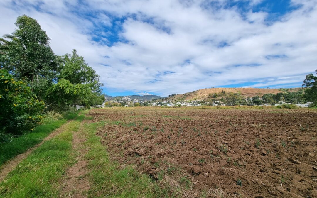 Generación de agricultores