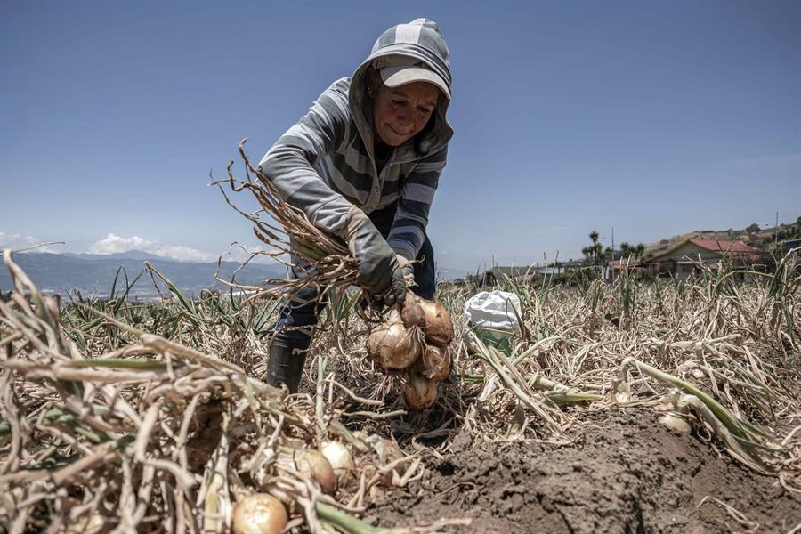 Uso eficiente del agua en la agricultura: claves y tecnologías aplicadas en el Aula Invernadero Modelo
