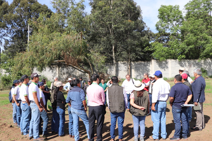Tecnología agrícola para mejorar el cultivo de uva en Cartago, Costa Rica
