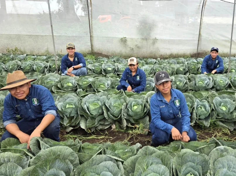 Invernadero de alta tecnología - Agricultura en Guatemala