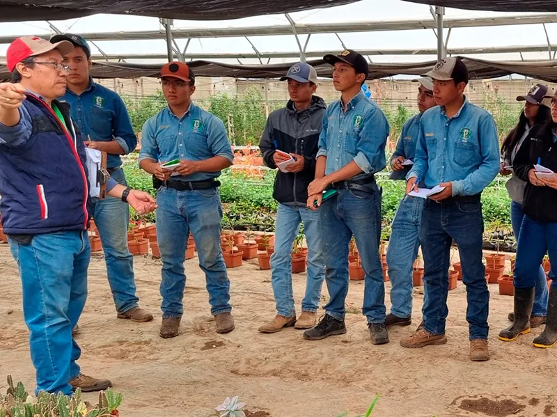Invernadero de alta tecnología- ENCA Guatemala - UAL