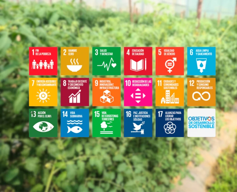 Proyecto de Cooperación Internacional UAL–AECID: Innovación agrícola sostenible alineada con los ODS