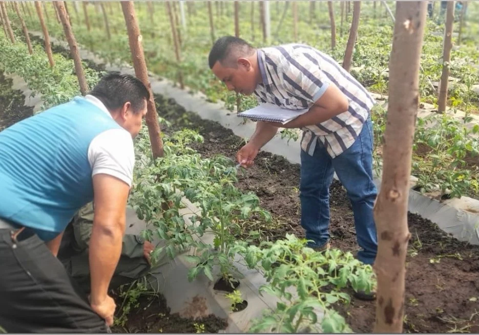 Nicaragua y el aula-invernadero: un referente en formación agrícola