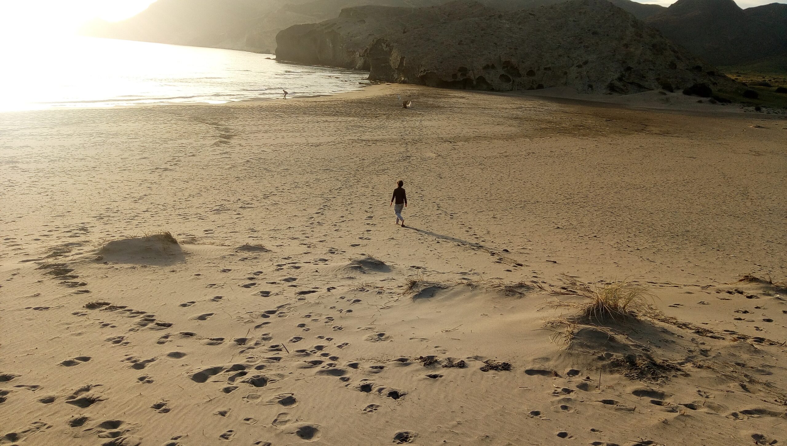 Happy Ninja - Imagen 2