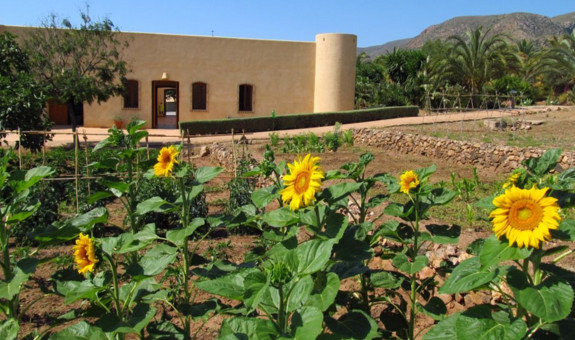 Salida de campo: Jardín Botánico El Albardinal en Rodalquilar